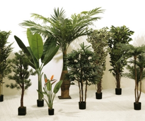 ACCESSOIRES & DECORATION